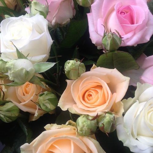 Blumen-Abos